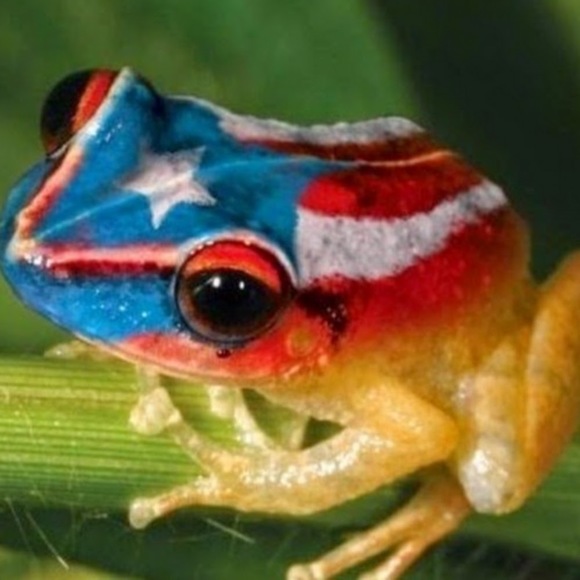 Meet your Posher, Carmen l. - Picture 1 of 1